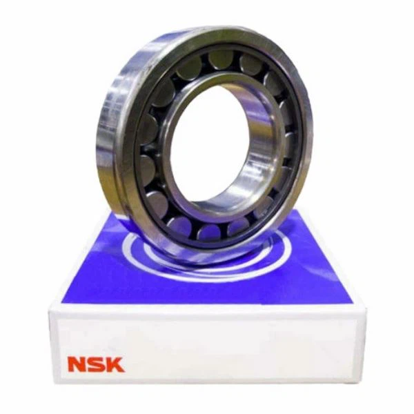 N221W बेलनाकार रोलर बीयरिंग 105x190x36 मिमी